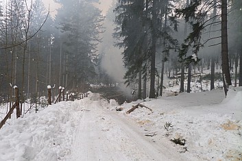 Tady to &#039;voní&#039; něčím jiným. Dřevorubci pálí větve. (KM)