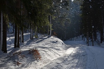 Cesta je projetá a šlape se tu dobře (IČ)