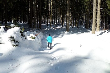 Vyšleme průzkumnici ohledat terén (KM)