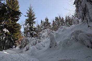 Jsme jako v pohádce o Zimním království (IČ)