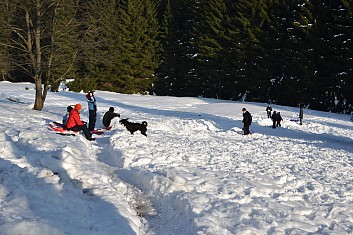 Tomíci se činí na svahu. Doma si sněhu už neužijí. (IČ)