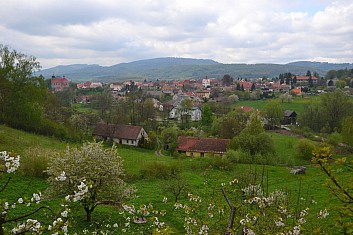 Železnice jako na dlani (cestou na vrch Železný) (IČ)