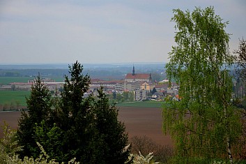 Valdická kartouza (z vrchu Železný) (IČ)