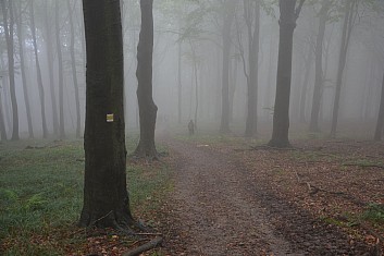 Turistická značka je vidět, tak nemusíme mít obavy (IČ)