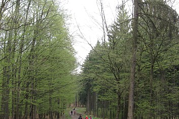 Příroda se pomalu probouzí (VČ)