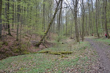 Trasa nás vede kolem potoka (IČ)