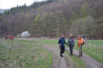 Tady to jenom kvete (IČ)
