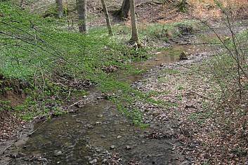 Zlechovský potok (VČ)