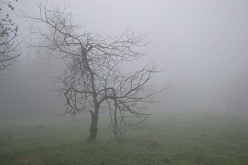 Na vrcholu Javorového