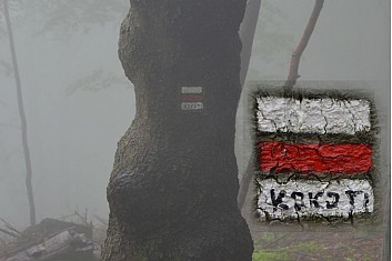 Koho tím asi mysleli?