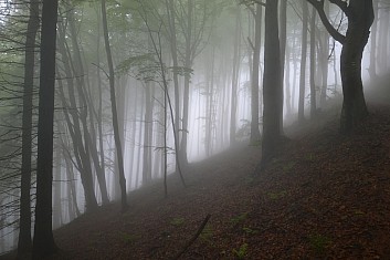 Blížíme se ke Kotaři a mlha se ani nehne