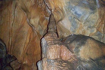 (MF)
