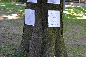 Informační strom - značení v terénu, časový plán kontrol a naše další akce (IČ)