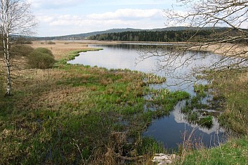 Tady začíná Dolejší Padrťský rybník (VČ)