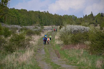 Rozkvetlá cesta (IČ)