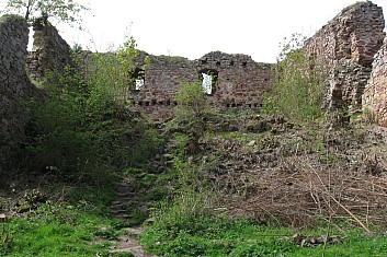Uprostřed zříceniny hradu Valdek (VČ)
