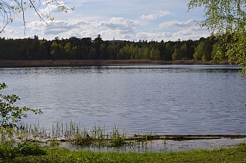 Za Kamenným rybníkem se tyčí antény na Krkavci (rozhledna je těsně nad lesem) (IČ)