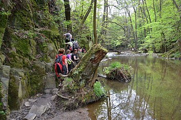 Pozor, bude tělocvik (IČ)