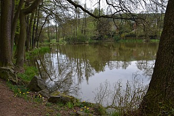 Lepenkárenský rybník u Františkova (IČ)