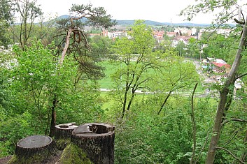 Vyhlídka u tří pařezů (VČ)