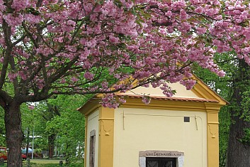 Kaple Panny Marie Bolestné z r. 1768 (VČ)