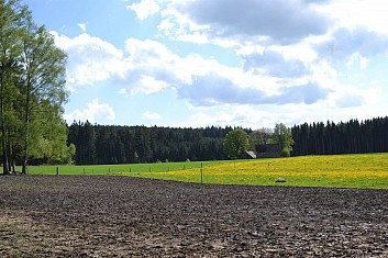Pole, louka, les - kam dojdeme dnes? (IČ)