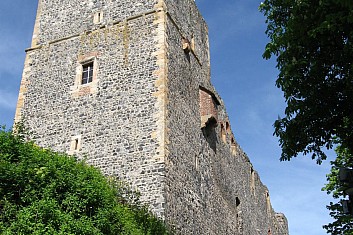 Zřícenina hradu Radyně (VČ)