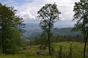 Toto je ten výhled - na Bystru, Wilkowice a řeku Soła (IČ)