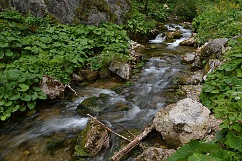 Horská bystřina, to je balzám na nervy (IČ)