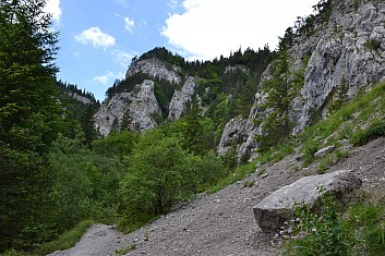 Kudy tudy k vodopádu? Doleva a pak pořád rovně. (IČ)