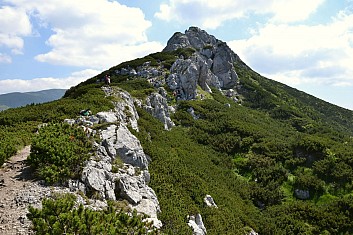 Už tam budeme?
Jasně, vždyť je to jen kousek (IČ)