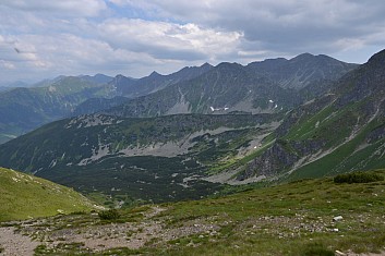 Roháče jako na dlani (IČ)