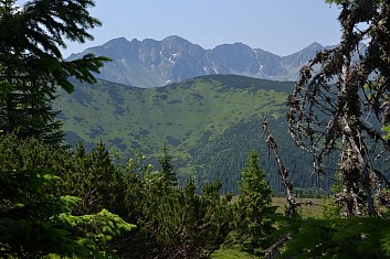 Údolím se vine pěšina z Látanej doliny na sedlo Zábrať (IČ)