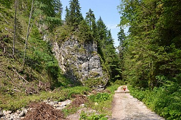 To jsou skály, až se úží dech (a dolina) (IČ)