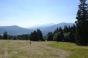 Je tu vedro jako na poušti, asi tu umřu (IČ)