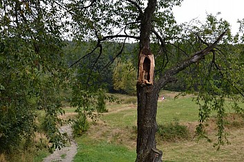 Bezpečnost především (IČ)