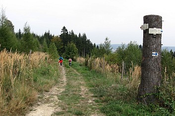 Tady musel pracovat dřevorubec - turista (VČ)