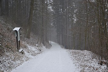Než jsme vypili kalíšek medoviny, cestu pokryl sníh
