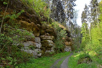 Údolí Vesecký Plakánek (IČ)