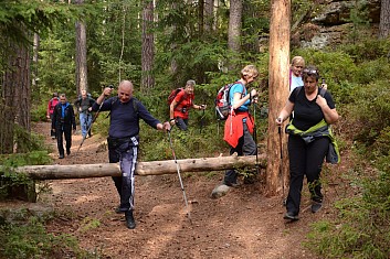 Přelez, přeskoč ... nebo to obejdi (IČ)