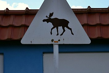 Že bychom byli ve Skandinávii? Tam totiž mají na značce losa. (IČ)