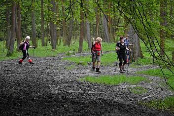 Cesta byla značně blátivá (IČ)