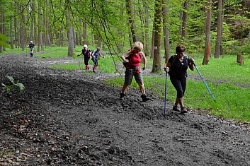 Hlavně ať nezapadneme do bažiny (IČ)