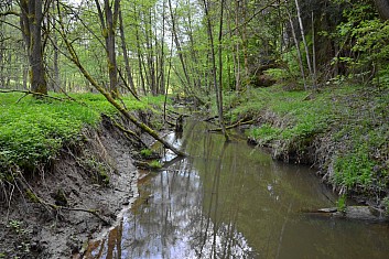 Říčka Žehrovka (IČ)