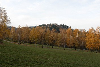 Javorník už vykukuje (VČ)