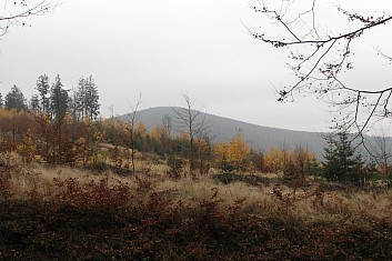 Ještě si užijeme i podzimních barev (VČ)