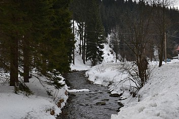 Čeladenka u cesty na Kociánku