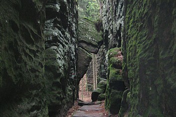 Fortna (VČ)