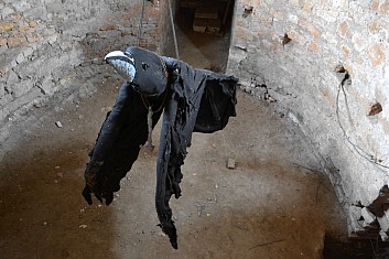 Čarodějův havran (IČ)