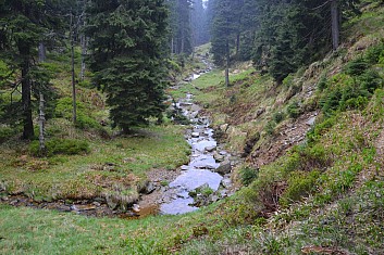 Hučivá Desná nedaleko od pramene (IČ)